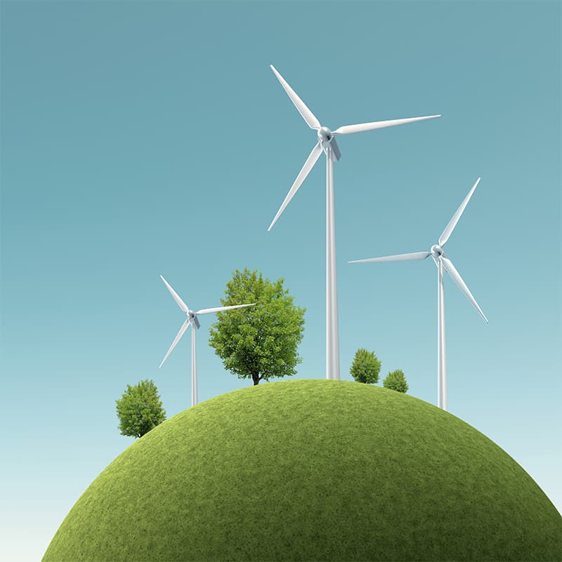 Environment